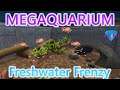 Megaquarium Freshwater Frenzy | Let's Play / Gameplay | Paskovka: part 2