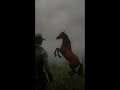 rdr2 John Marston tamed the red chestnut arabian horse