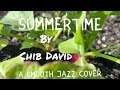 Summertime - A Smooth Jazz Experience