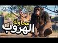 Planet Zoo | #2 | حديقة الحيوانات | محاولة هروب الحيوانات