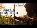 Step in the Right Direction Quest New World