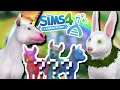 Creating Colorful UNICORN x Easter Bunny Cross-Breeds?! π¦ππ°