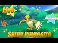 Live Shiny Pidgeotto - Dexnaving - Pokemon Omega Ruby