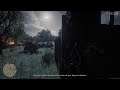 Red Dead Redemptoi 2 online desafío diario