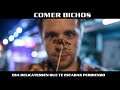 Comer bichos es muy "trendy"