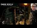 Dark Souls 19 - Big Bug Backtrack