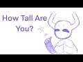How Tall Are You? (Hollow Knight)