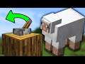 Pull Lever, Herd Sheep (in Minecraft)