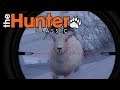 The Hunter Classic #14 -Dickhornschaf -The Hunter