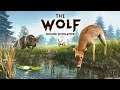 The wolf game review free Android games