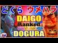 【スト5】どぐら（セス) 対 ウメハラ（E.本田）【SFV】Dogura(Seth) VS Daigo Umehara(Honda)  🔥FGC🔥