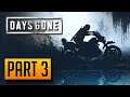 Days Gone - 100% Walkthrough Part 3: She Rode With Us [PC]
