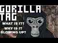 Gorilla Tag - What is it? Why is it blowing up? A quick look at this new VR game.