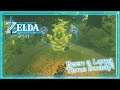 Hetsu Its Been A While! | Legend of Zelda: Bath of The Wild (Part 131)