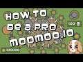 HOW TO BE A PRO IN MOOMOO.IO!
