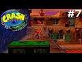 Let's Play Crash Bandicoot: The Wrath of Cortex (Xbox) - Part 7