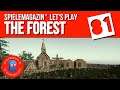 Lets Play The Forest | Ep.81 | Die Kirche im Dorf | deutsch #forest#letsplay #bleibtzuhause