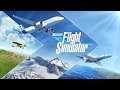 Microsoft Flight Simulator. Обзорные полёты над городами.