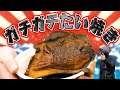 世界一硬いたい焼きをつくってみた【MSSP/M.S.S Project】