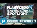 🌊 Planet Zoo Spotlight #10 | News Update | Indian Peafowl reveal, Underwater Viewing Confirmed & E3