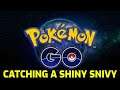Pokémon GO - Catching a Shiny Snivy