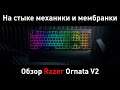 Razer Ornata V2 — обзор механико-мембранной клавиатуры