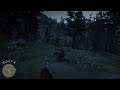 Red Dead Redemption 2 how to find he old lady what happed to the old lady messing around