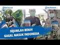 Sejumlah Benih Gagal Masuk Indonesia
