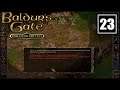 BALDUR'S GATE (PC) #23 - Melicamp, a Galinha