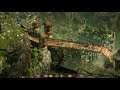 Beautiful Desolation Trailer