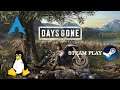 Days Gone - Linux - Steam Play | Gameplay