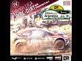 Dirt Rally 2.0 // IV Edición Liga WRC-DIRT // Rally de Argentina Etapa 03 // Peugote 208 R2