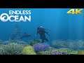 Dolphin 5.0-14583 | Endless Ocean 4K UHD | Wii Emulator PC Gameplay
