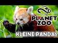 🐼 Kleiner Panda | Red Panda | Speed Build | Planet Zoo | Franchise | #029 | Deutsch