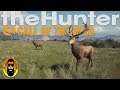 Let's Hunt Fernando!!! in theHunter Call of the Wild
