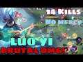 Luo Yi brutal damage 14 kills no mercy || yayos