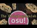 Osu! - The Globglogabgalab [Shwabble] by Mao S Full Combo