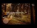 Red Dead Online Horses in Nutshell | [RDO] | #wideShorts