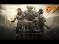 The Elder Scrolls Online - 09