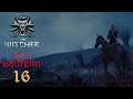 The Witcher первое прохождение ч.16: Расследование продолжается