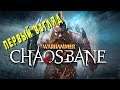 Warhammer Chaosbane - ПЕРВЫЙ ВЗГЛЯД... Что ты такое??!!!
