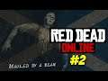 BEAR BRAWL - Red Dead Redemption 2 Online #2 #FunnyMoments