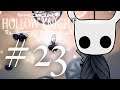 Let's play Hollow Knight part 23