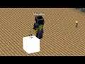 THE END IS NEAR!!!! ( Insane Craft )