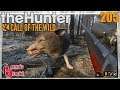 The Hunter Call of the Wild ★ Hinterhältiger Wolfsangriff – Panik im Yukon [205] Let's Play Deutsch