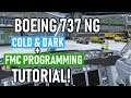 Tutorial: Boeing 737 NG Cold & Dark Startup + FMC Programming! [2019] [PMDG] [P3D 4.4]