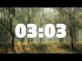 3 MINUTES AND 3 SECONDS TIMER COUNTDOWN 183 seconds - 3:03]