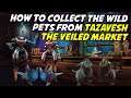 Collect the Wild Pets from Tazavesh: the Veiled Market (Solo)