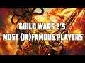 Guild Wars 2's Most Famous & Infamous Players