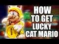 HOW TO GET Lucky Cat Mario in Super Mario 3D World + Bowser’s Fury for Nintendo Switch
